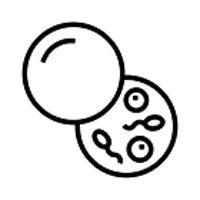 Assisted Reproductive Technology (ART)